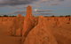 The Pinnacles, Sea And Dunescapes, Bush Reserve And Sunset Day Tour - thumb 3