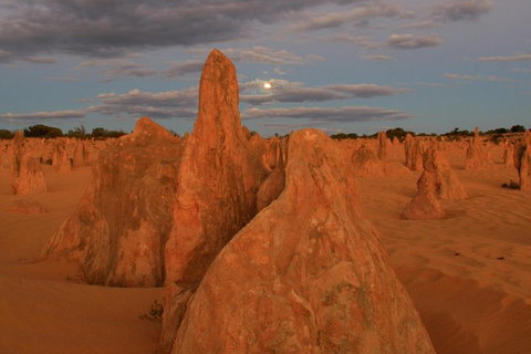 The Pinnacles, Sea And Dunescapes, Bush Reserve And Sunset Day Tour - New South Wales Tourism  3