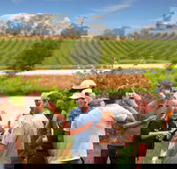 Yarra Valley Wine and Winery Tour from Melbourne - New South Wales Tourism 