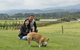 Yarra Valley Wine And Winery Tour From Melbourne - thumb 6