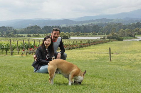 Yarra Valley Wine And Winery Tour From Melbourne - New South Wales Tourism  6