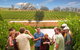 Yarra Valley Wine And Winery Tour From Melbourne - thumb 26