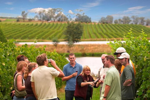 Yarra Valley Wine And Winery Tour From Melbourne - New South Wales Tourism  26
