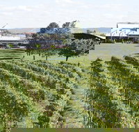 Puffing Billy Train and Yarra Valley Food and Wine Day Trip from Melbourne - New South Wales Tourism 