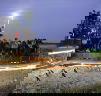 Small-Group Phillip Island Day Trip from Melbourne with Penguin Plus Viewing - New South Wales Tourism 