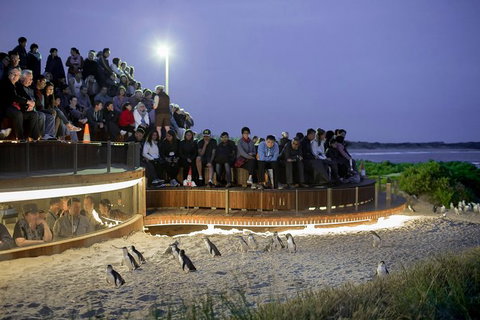 Small-Group Phillip Island Day Trip From Melbourne With Penguin Plus Viewing - New South Wales Tourism  0