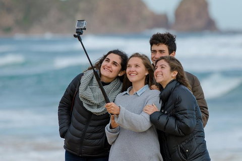 Small-Group Phillip Island Day Trip From Melbourne With Penguin Plus Viewing - New South Wales Tourism  7