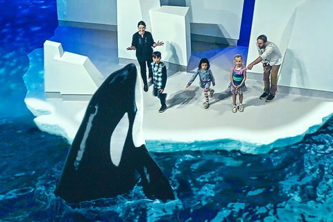 Small-Group Phillip Island Day Trip From Melbourne With Penguin Plus Viewing - New South Wales Tourism  10