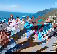 Great Ocean Road Small Group Tour - New South Wales Tourism 