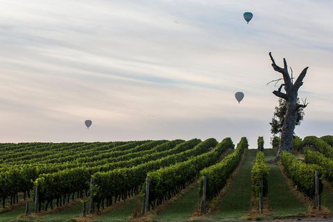 Yarra Valley Balloon Flight And Winery Tour - New South Wales Tourism  19