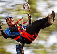 12 Apostles and Otway Fly Zipline Day Trip from Melbourne - New South Wales Tourism 