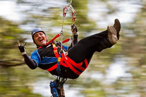 12 Apostles And Otway Fly Zipline Day Trip From Melbourne - New South Wales Tourism  0