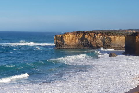 12 Apostles And Otway Fly Zipline Day Trip From Melbourne - New South Wales Tourism  7