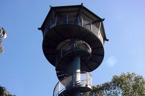12 Apostles And Otway Fly Zipline Day Trip From Melbourne - New South Wales Tourism  5
