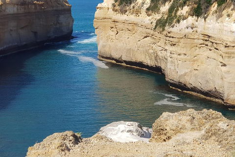 12 Apostles And Otway Fly Zipline Day Trip From Melbourne - New South Wales Tourism  6