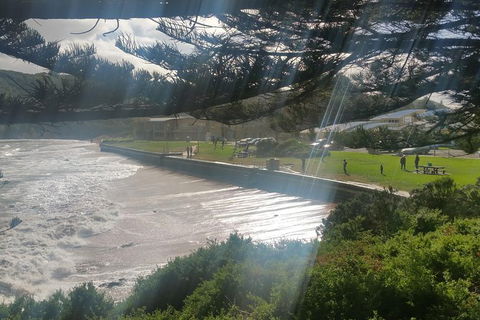 12 Apostles And Otway Fly Zipline Day Trip From Melbourne - New South Wales Tourism  16
