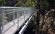 12 Apostles And Otway Fly Zipline Day Trip From Melbourne - thumb 3
