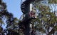 12 Apostles And Otway Fly Zipline Day Trip From Melbourne - thumb 13