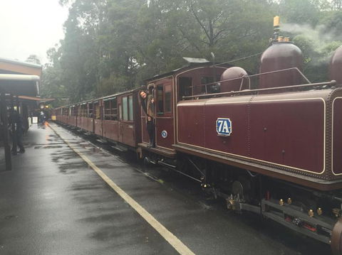 Puffing Billy, Moonlit Sanctuary & Penguins Day Tour - New South Wales Tourism  2