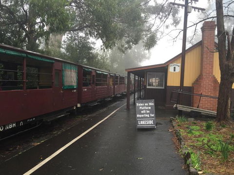 Puffing Billy, Moonlit Sanctuary & Penguins Day Tour - New South Wales Tourism  3
