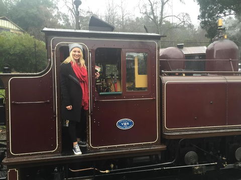 Puffing Billy, Moonlit Sanctuary & Penguins Day Tour - New South Wales Tourism  5