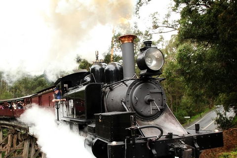 Puffing Billy, Moonlit Sanctuary & Penguins Day Tour - New South Wales Tourism  9