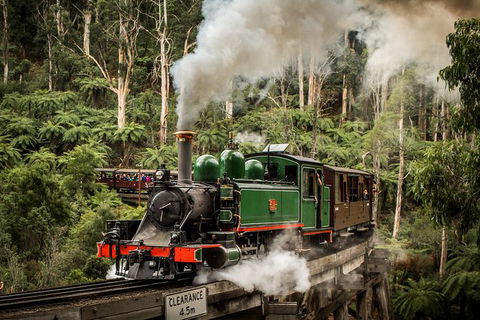 Puffing Billy, Moonlit Sanctuary & Penguins Day Tour - New South Wales Tourism  6