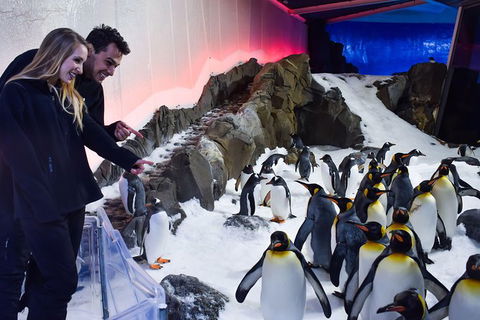Penguin Passport At SEA LIFE Melbourne Aquarium - New South Wales Tourism  0
