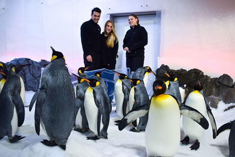 Penguin Passport At SEA LIFE Melbourne Aquarium - New South Wales Tourism  4
