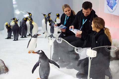 Penguin Passport At SEA LIFE Melbourne Aquarium - New South Wales Tourism  7