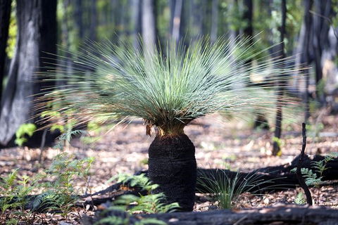 Small-Group Grampians Great Wilderness Escape Day Trip With Hiking - New South Wales Tourism  14