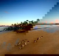 Phillip Island Ultimate Penguin Eco Tour or Skybox Experience - New South Wales Tourism 