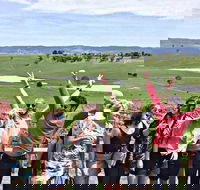 Alternative Yarra Valley Wine Tasting Tour Departing from Melbourne - New South Wales Tourism 