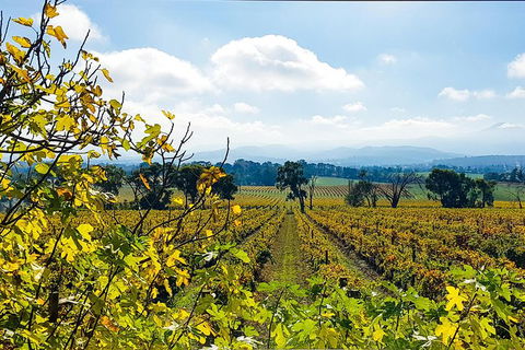 Alternative Yarra Valley Wine Tasting Tour Departing From Melbourne - New South Wales Tourism  4