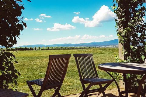 Alternative Yarra Valley Wine Tasting Tour Departing From Melbourne - New South Wales Tourism  11