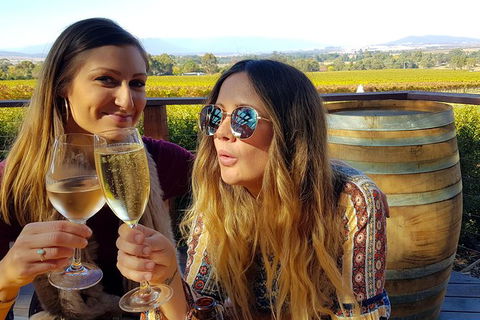 Alternative Yarra Valley Wine Tasting Tour Departing From Melbourne - New South Wales Tourism  5