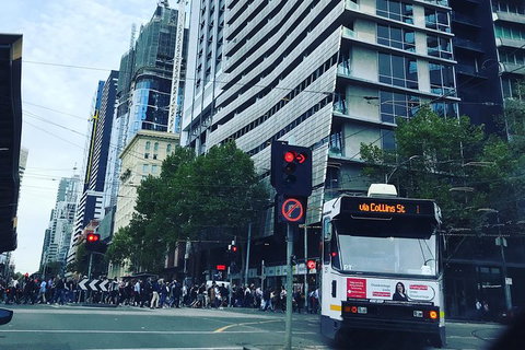 Melbourne Airport To Melbourne CBD/City (1 Way) - New South Wales Tourism  4