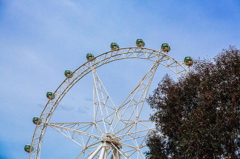 City Sightseeing Melbourne Hop-On Hop-Off Bus Tour - New South Wales Tourism  8