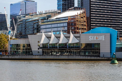 City Sightseeing Melbourne Hop-On Hop-Off Bus Tour - New South Wales Tourism  7