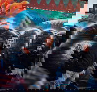 Fitzroy's Dark History  Hidden Bars - New South Wales Tourism 