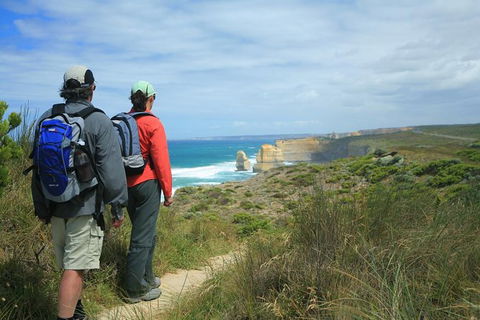 Great Walks Of Australia:4-Day Twelve Apostles Signature Walk OR 3 Day Long Wknd - New South Wales Tourism  0