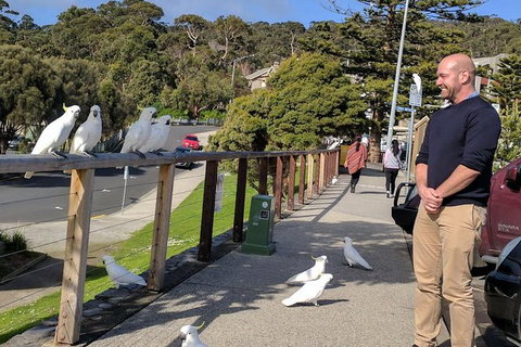 Private Full-Day Great Ocean Road Tour With Helicopter Ride - New South Wales Tourism  1