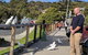Private Full-Day Great Ocean Road Tour With Helicopter Ride - thumb 5
