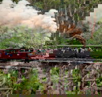 Melbourne Combo Great Ocean Road Puffing Billy Moonlit Sanctuary  Penguins - New South Wales Tourism 