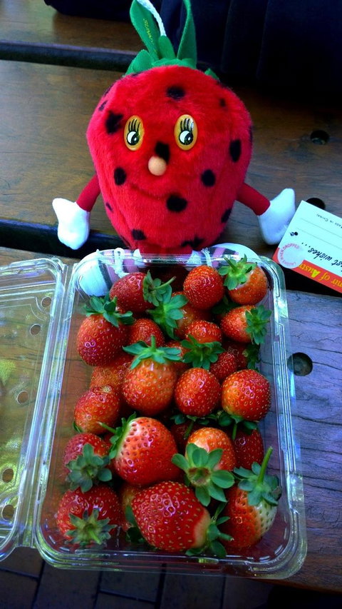 Mornington Peninsula Including Strawberry Farm Day Tour From Melbourne - New South Wales Tourism  6