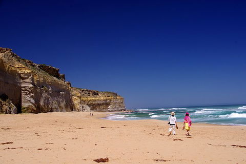 Great Ocean Road Day Trip: Twelve Apostles, Loch Ard Gorge And Apollo Bay - New South Wales Tourism  1