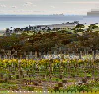 Bellarine Peninsula Small Group Wine Tour with 2 Course Lunch and Morning Tea - New South Wales Tourism 