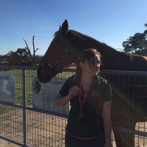 Champion Racehorse Tour With Beer And Wine Tasting - New South Wales Tourism  4