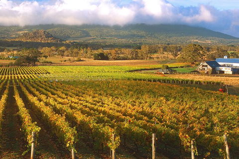 Champion Racehorse Tour With Beer And Wine Tasting - New South Wales Tourism  6