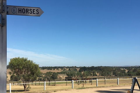 Champion Racehorse Tour With Beer And Wine Tasting - New South Wales Tourism  7